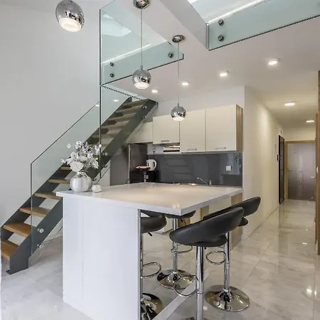 公寓 Luxury Suites *